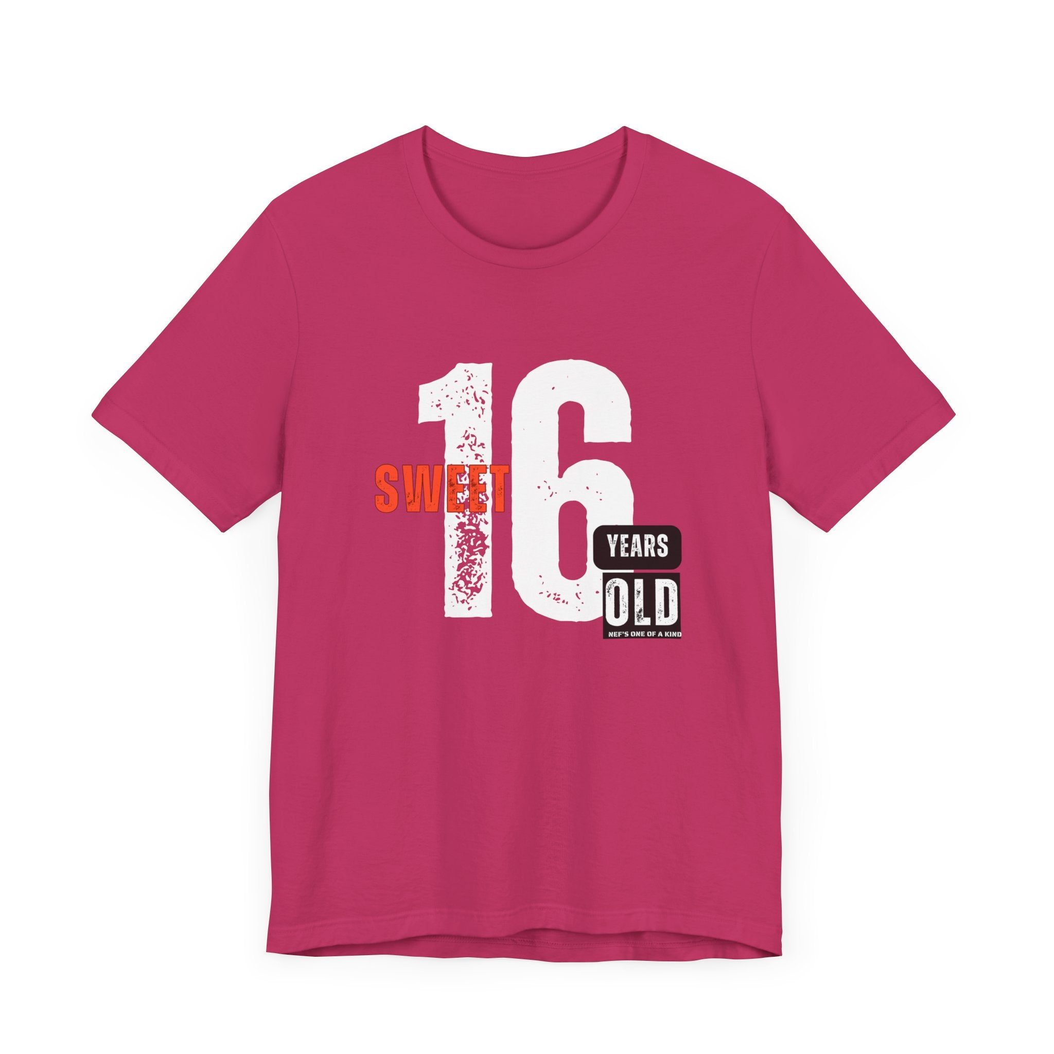 16year Old Unisex Adult Tee